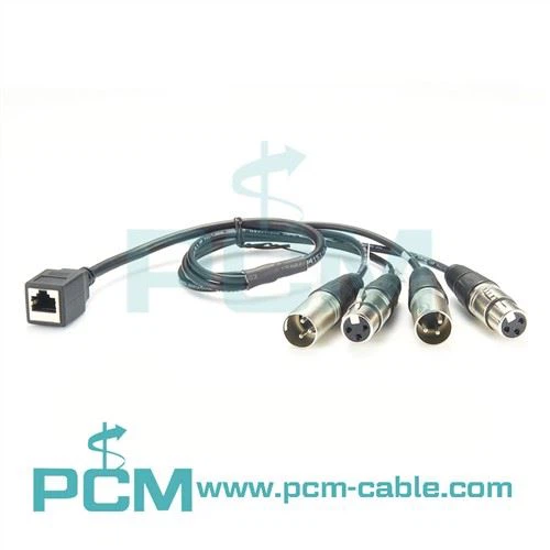4-Channel Audio Snake RJ45 Female to XLR 2Males to 2Females.